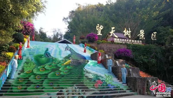新华网云南频道