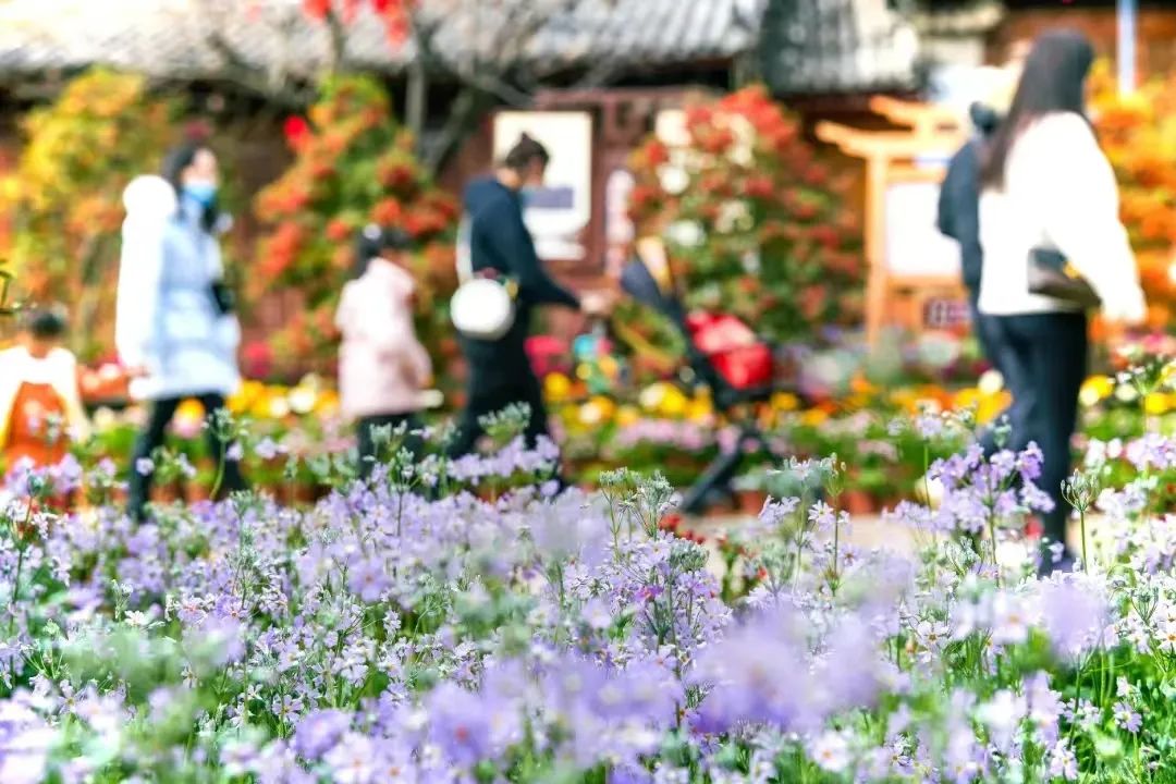 丽江日报