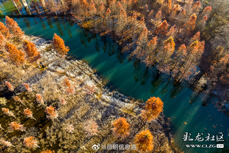 昆明信息港（微博）