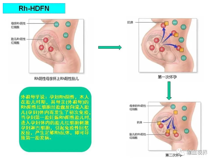 云南省文山州人民医院