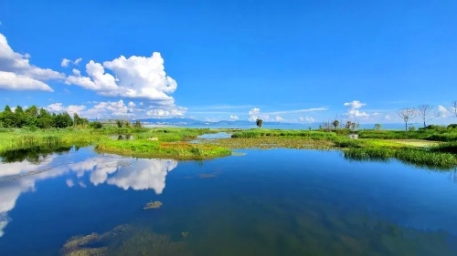 昆明市文化和旅游局