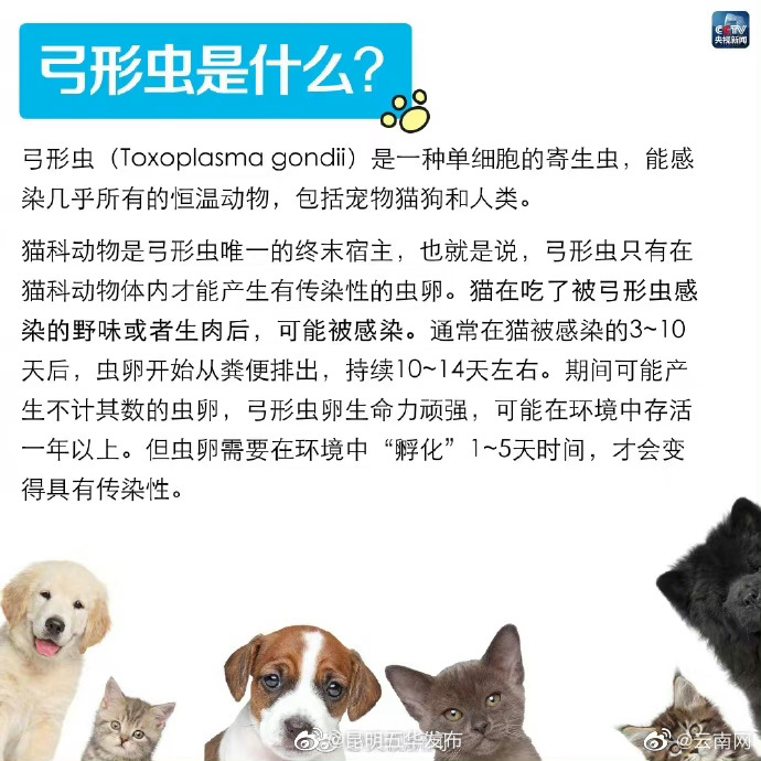 昆明五华发布