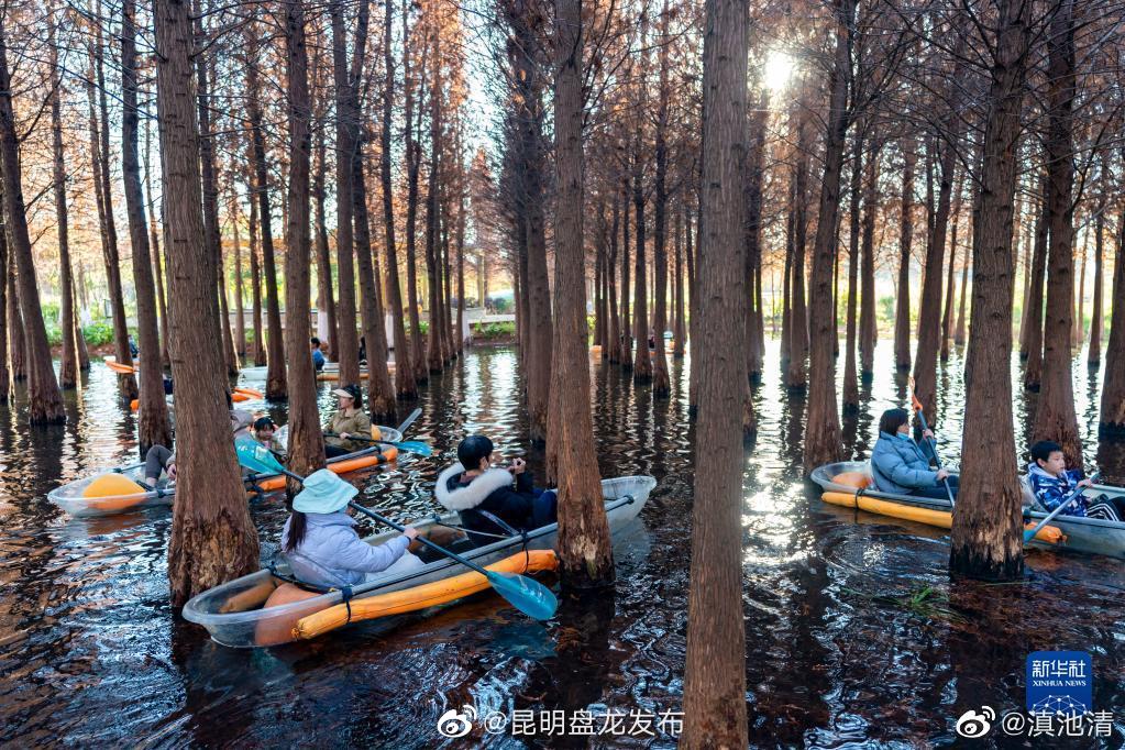 昆明盘龙发布