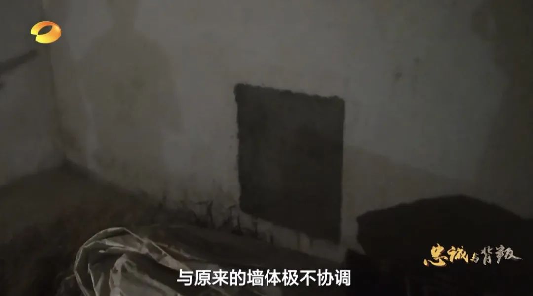 云南法制报