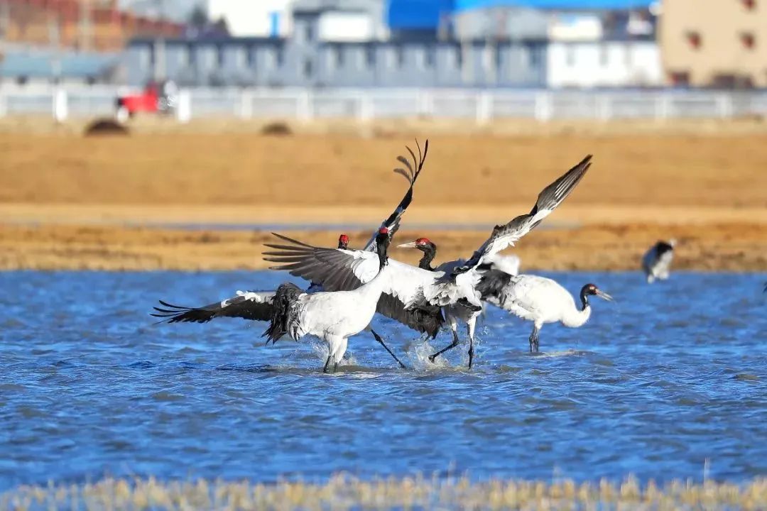 云南广播电视台