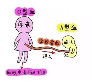 云南省文山州人民医院