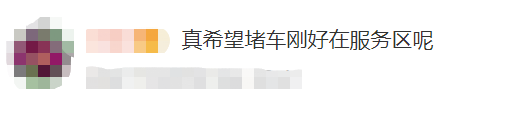 掌上春城