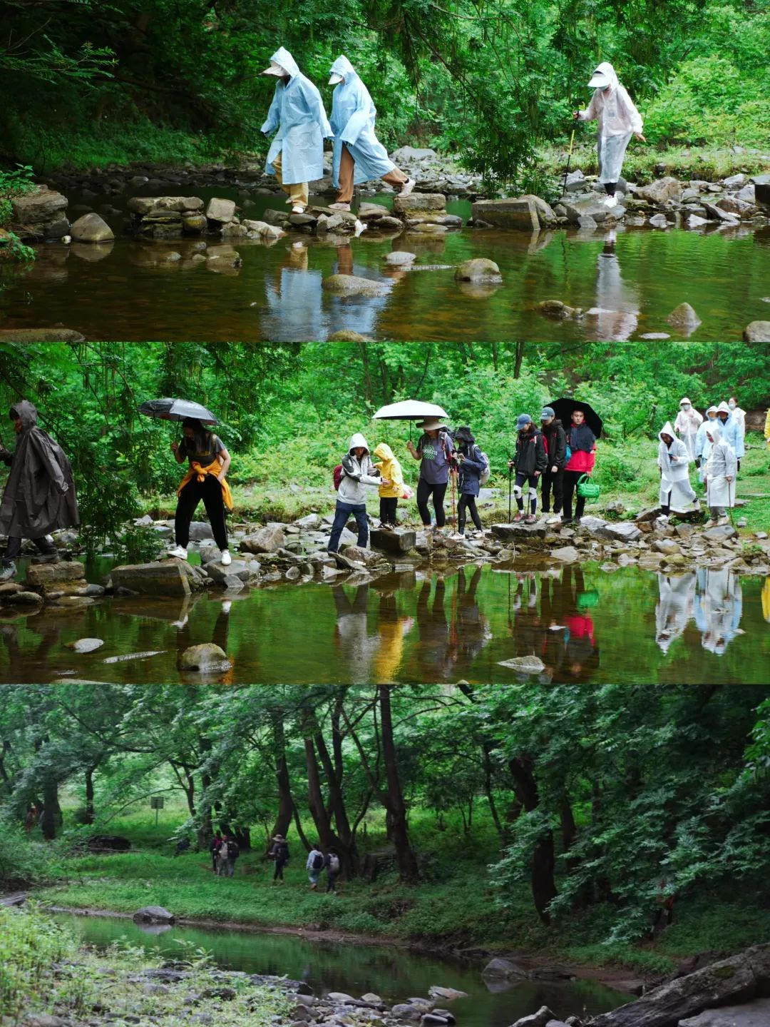 一部手机游云南