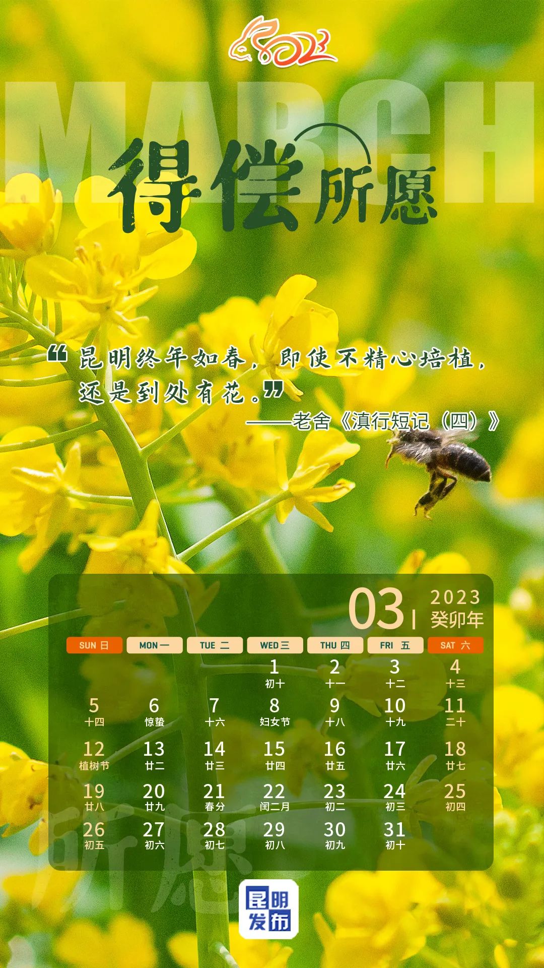 昆明发布