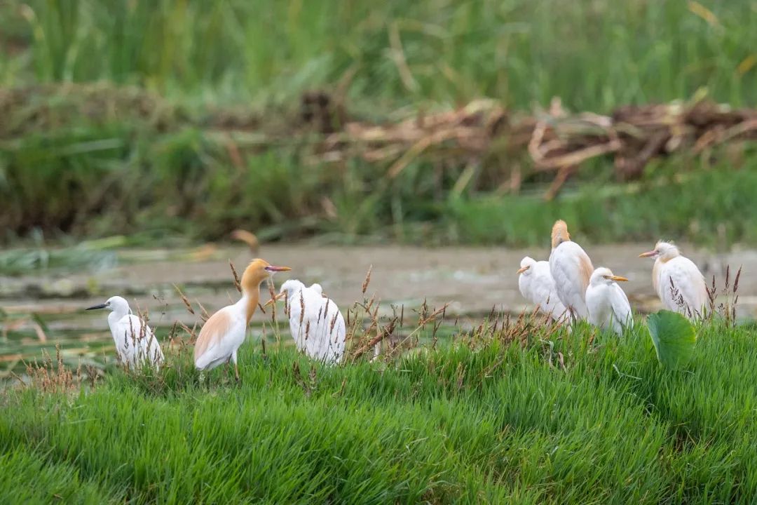 昆明生态环境