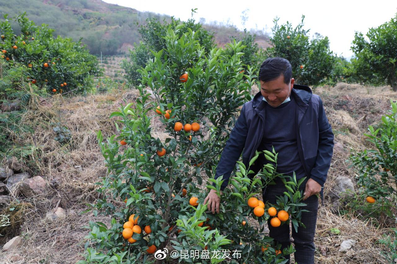 昆明盘龙发布