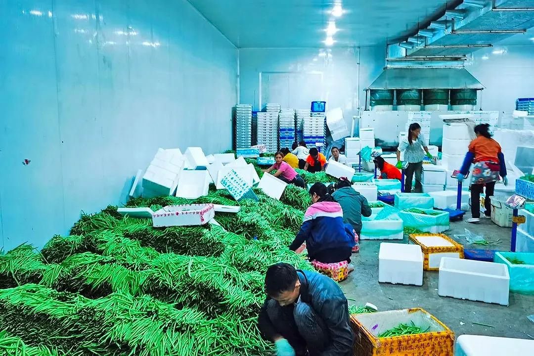 保山先锋