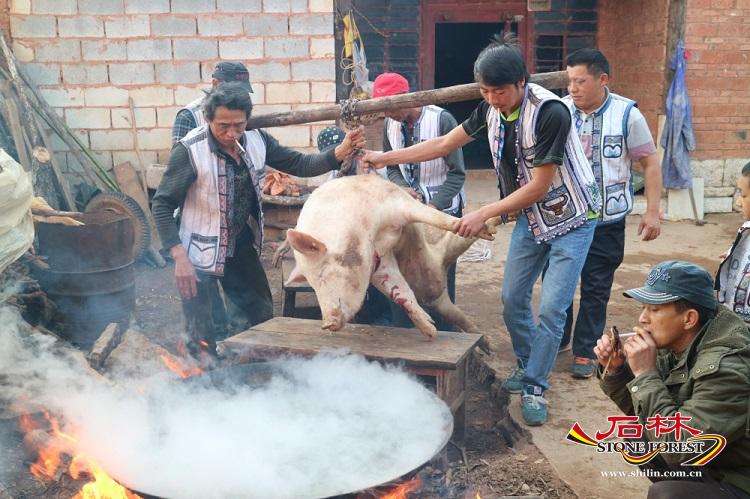 石林旅游网