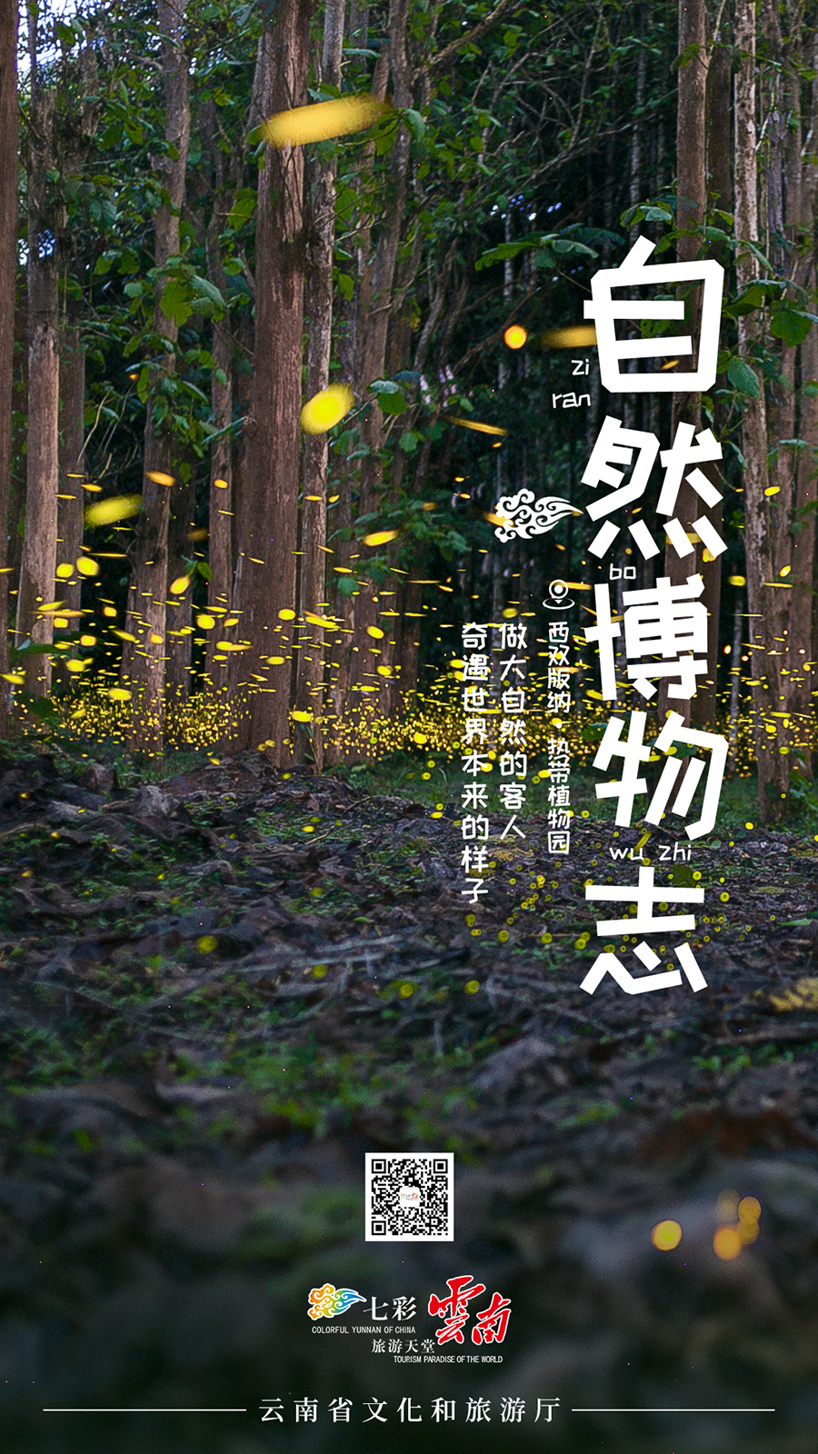 新华网云南频道