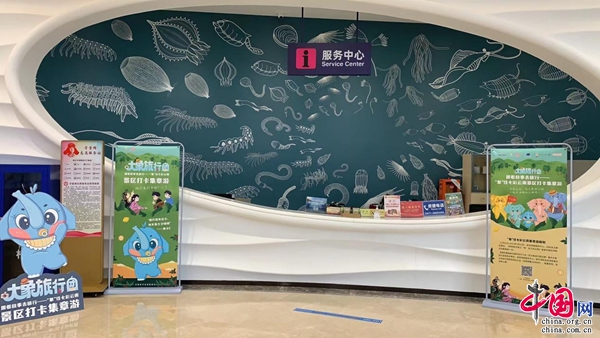 新华网云南频道