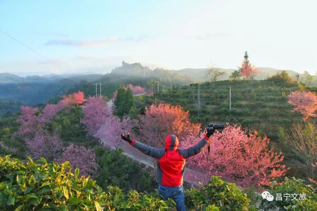 保山广播电视台
