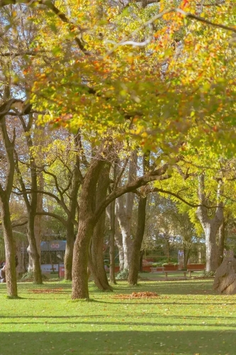 昆明市文化和旅游局