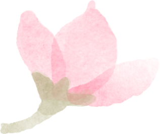 悦读嵩明