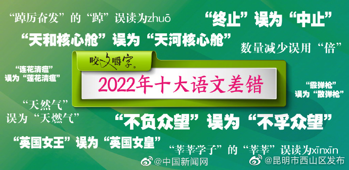 2022年十大语文差错