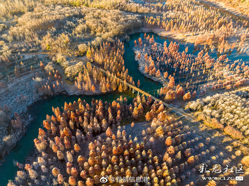 昆明信息港（微博）