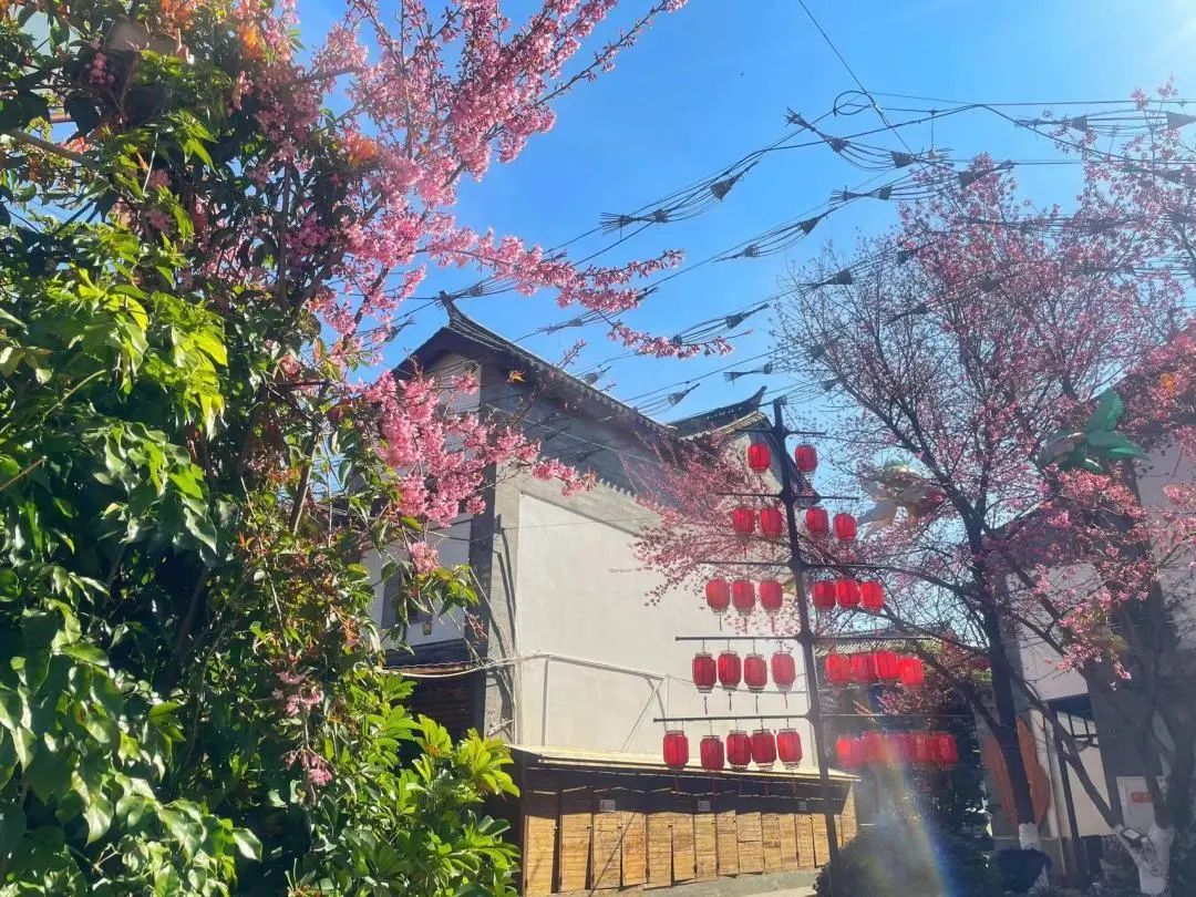 唯美官渡