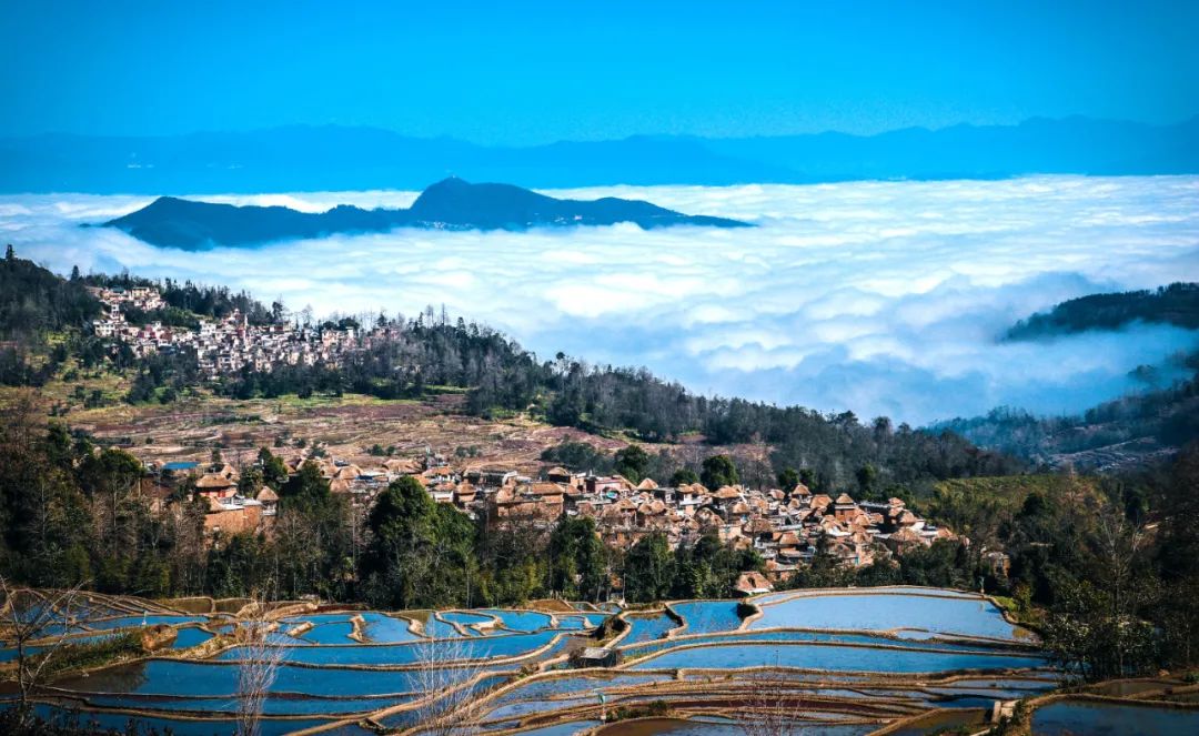 云南省人民政府网