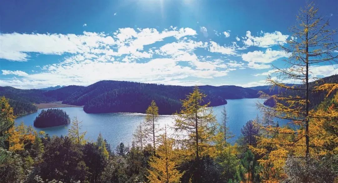 云南广播电视台