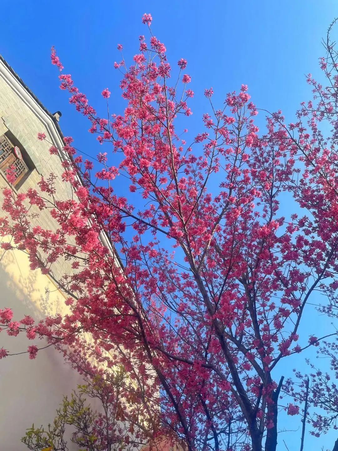 唯美官渡