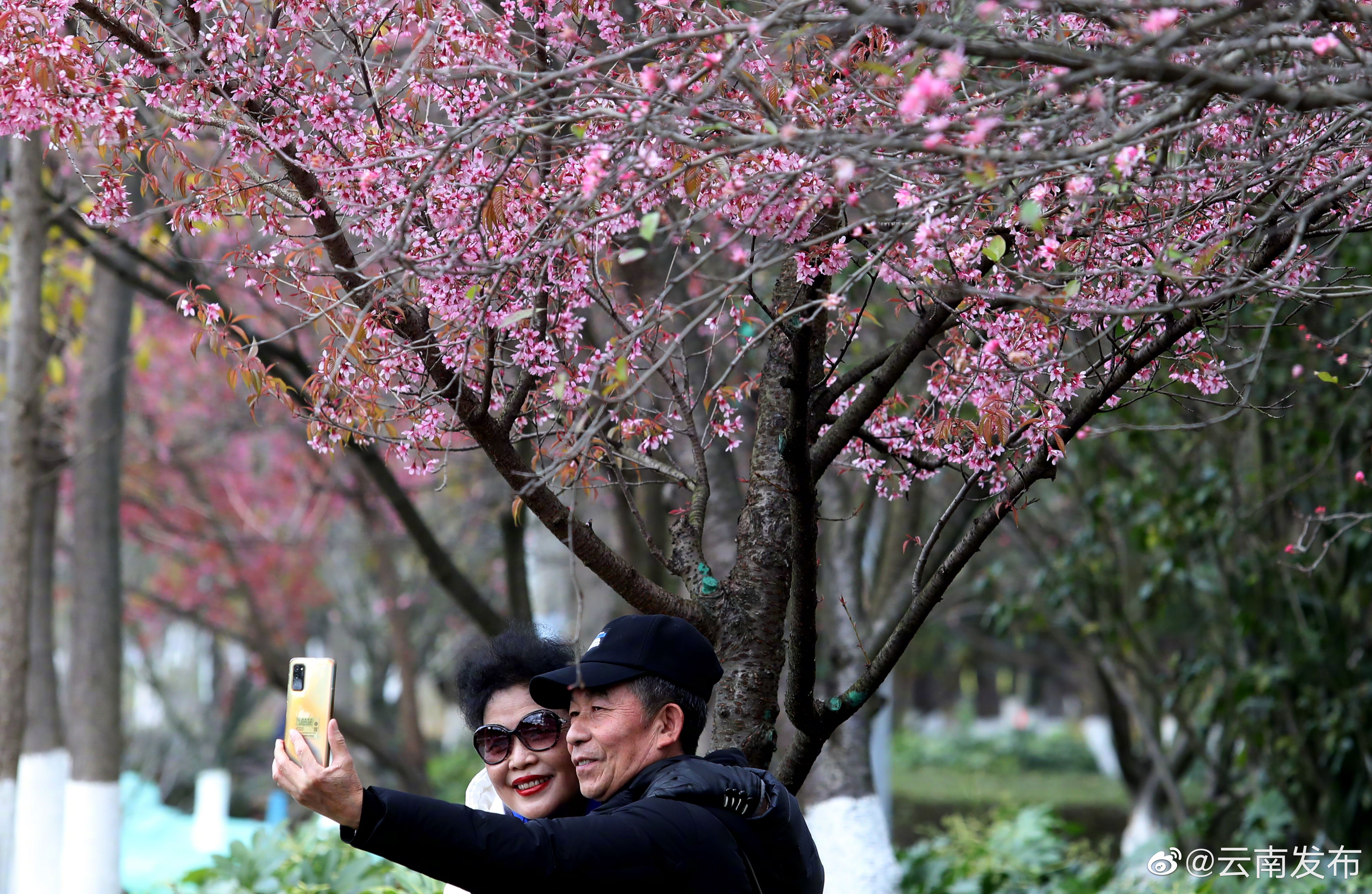 “云南发布”微博