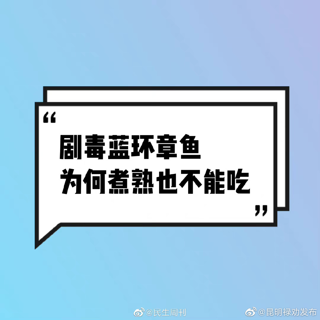剧毒蓝环章鱼为何煮熟也不能吃