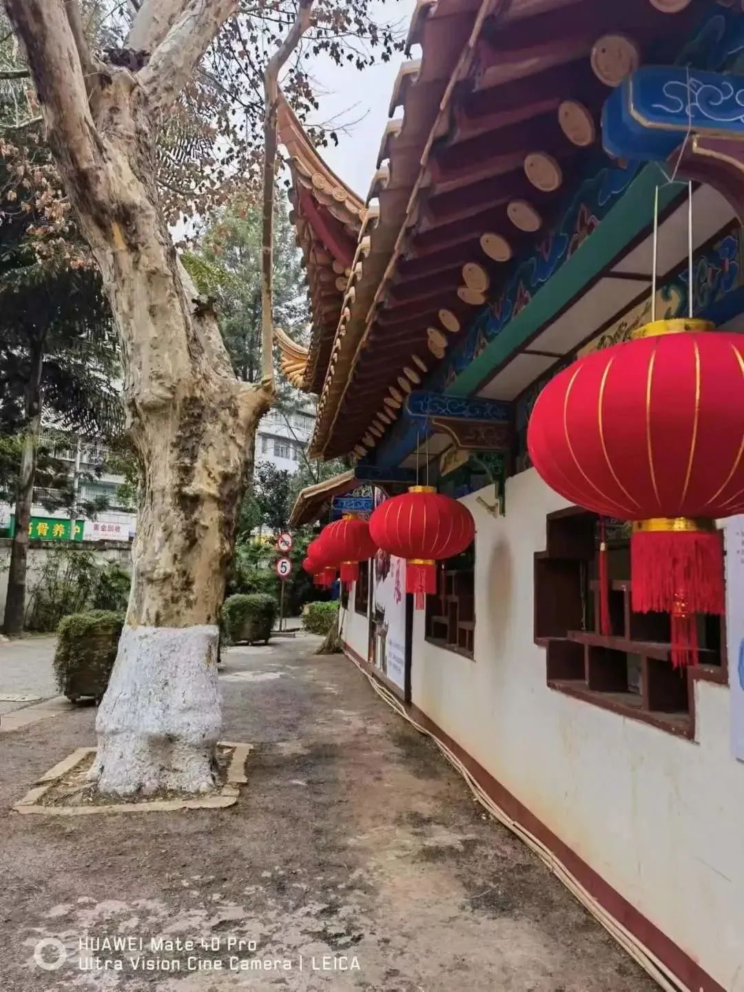 昆明市昙华寺公园