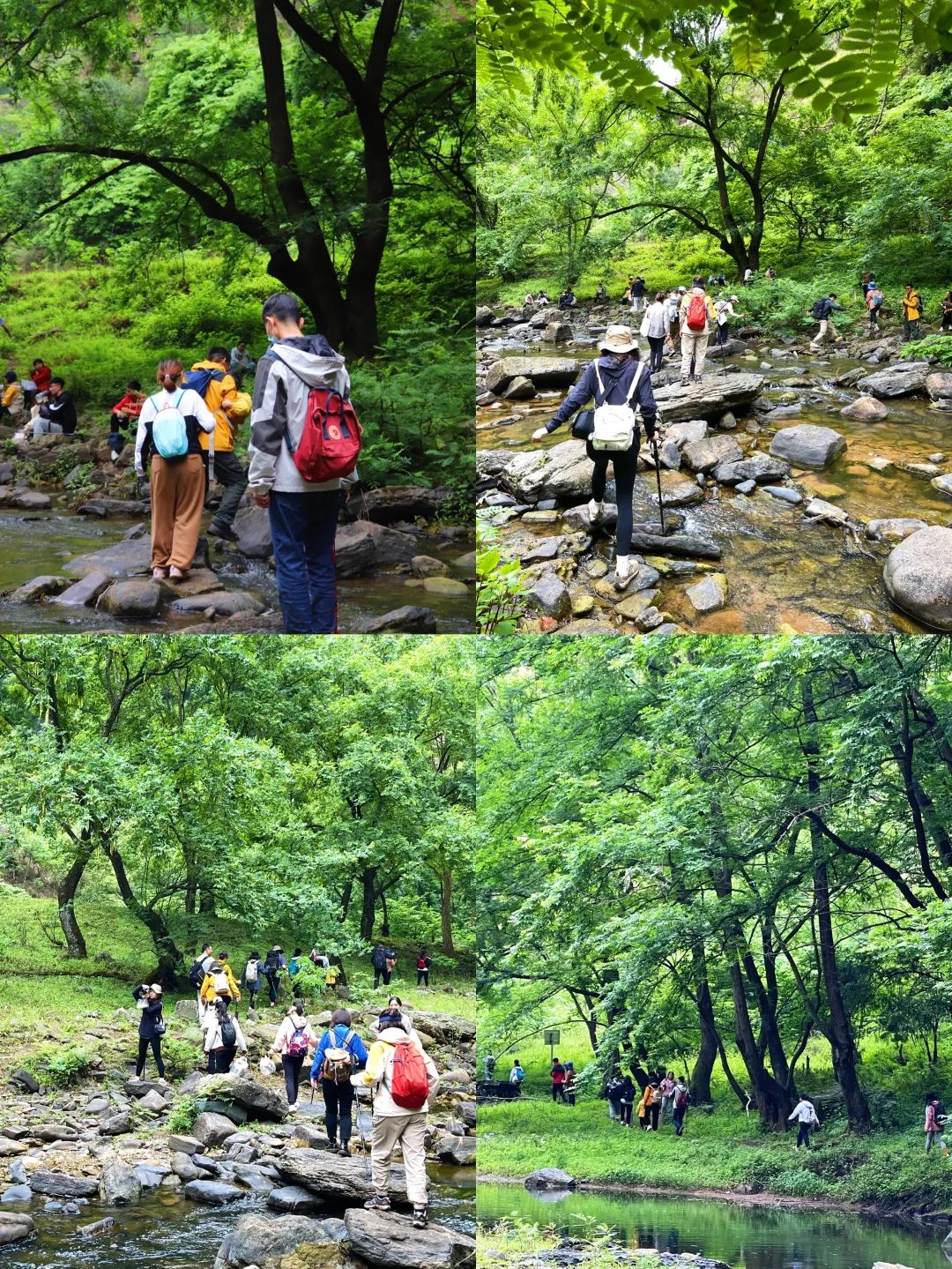 一部手机游云南