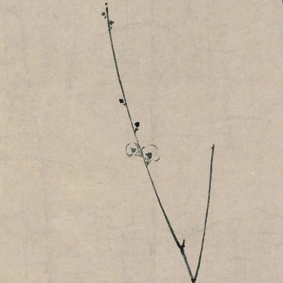 昆明公共文化云