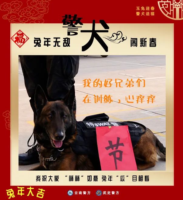 云南警方