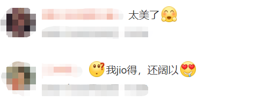 掌上春城