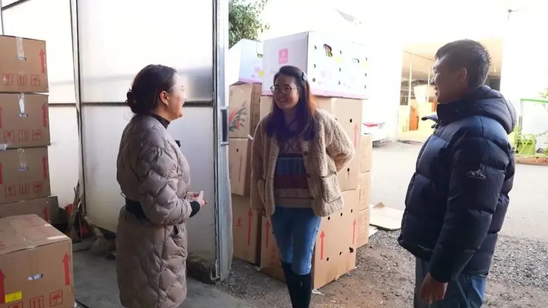 呈贡发布