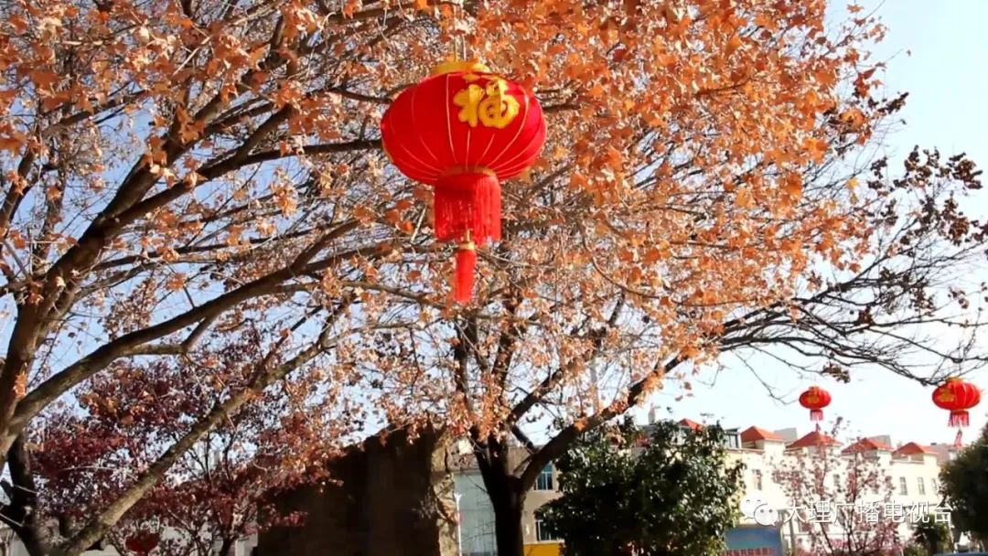 大理电视台
