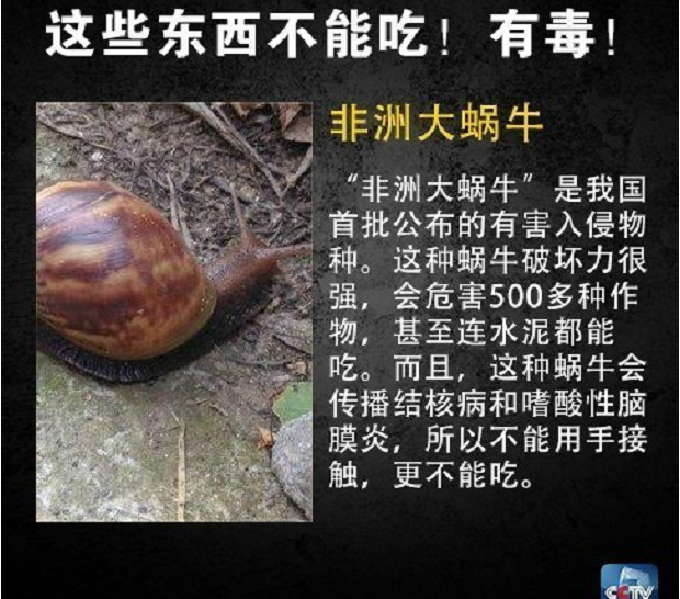 美丽云南微科普