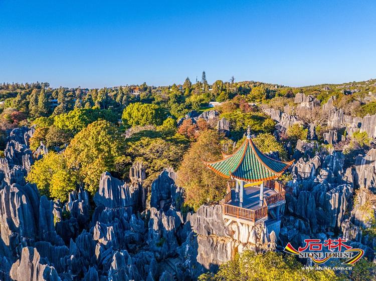 石林旅游网