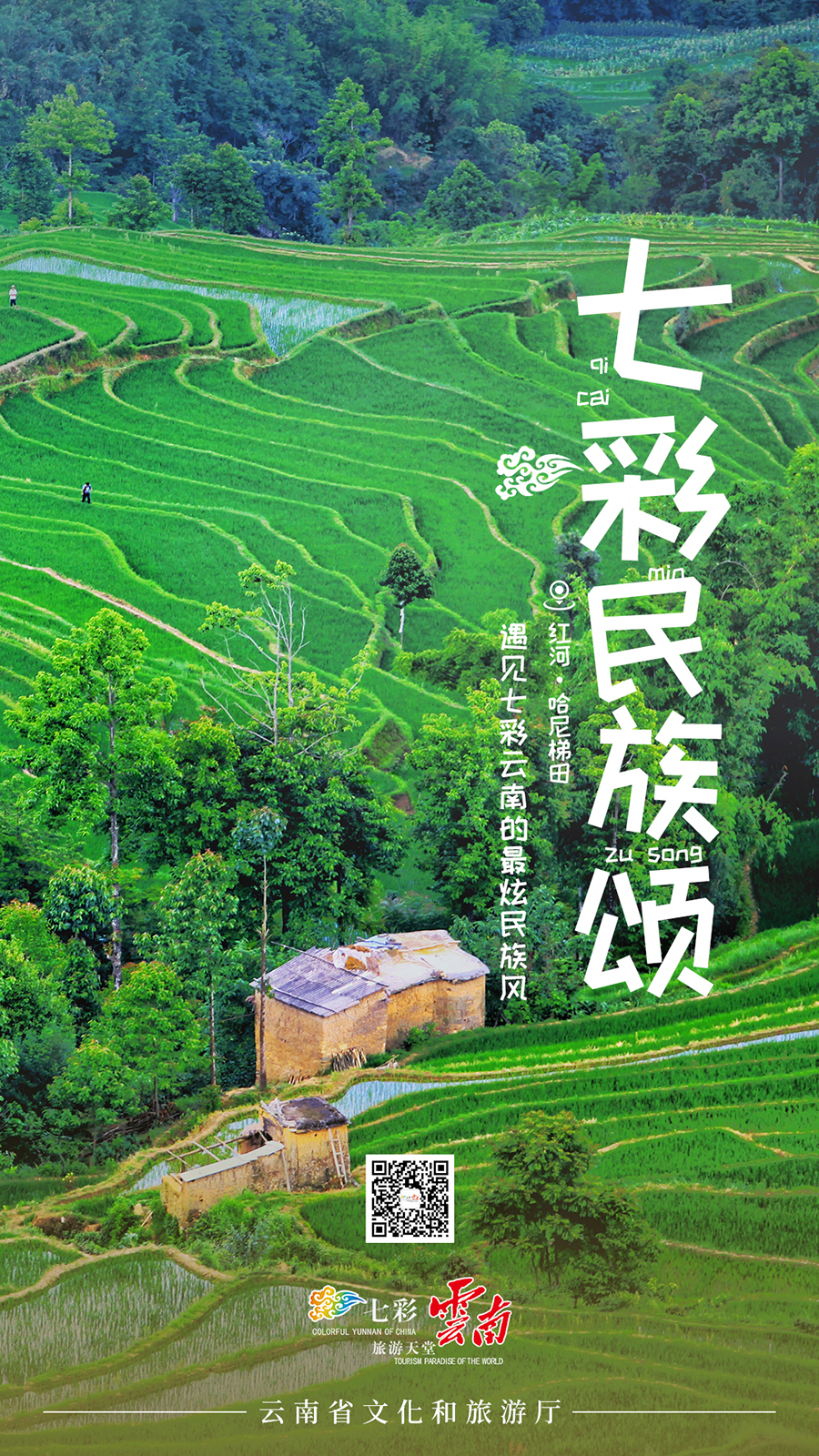 新华网云南频道
