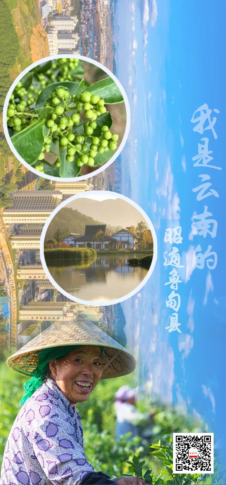 昭通日报