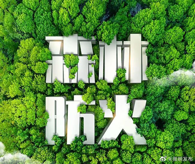 护林防火，我们在行动——杨桥社区开展山林防火巡查工作