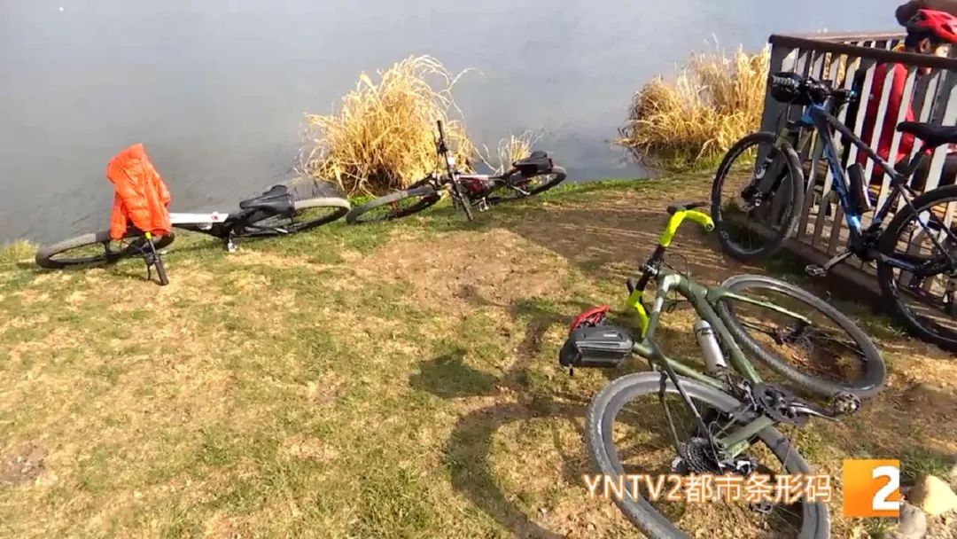 掌上春城