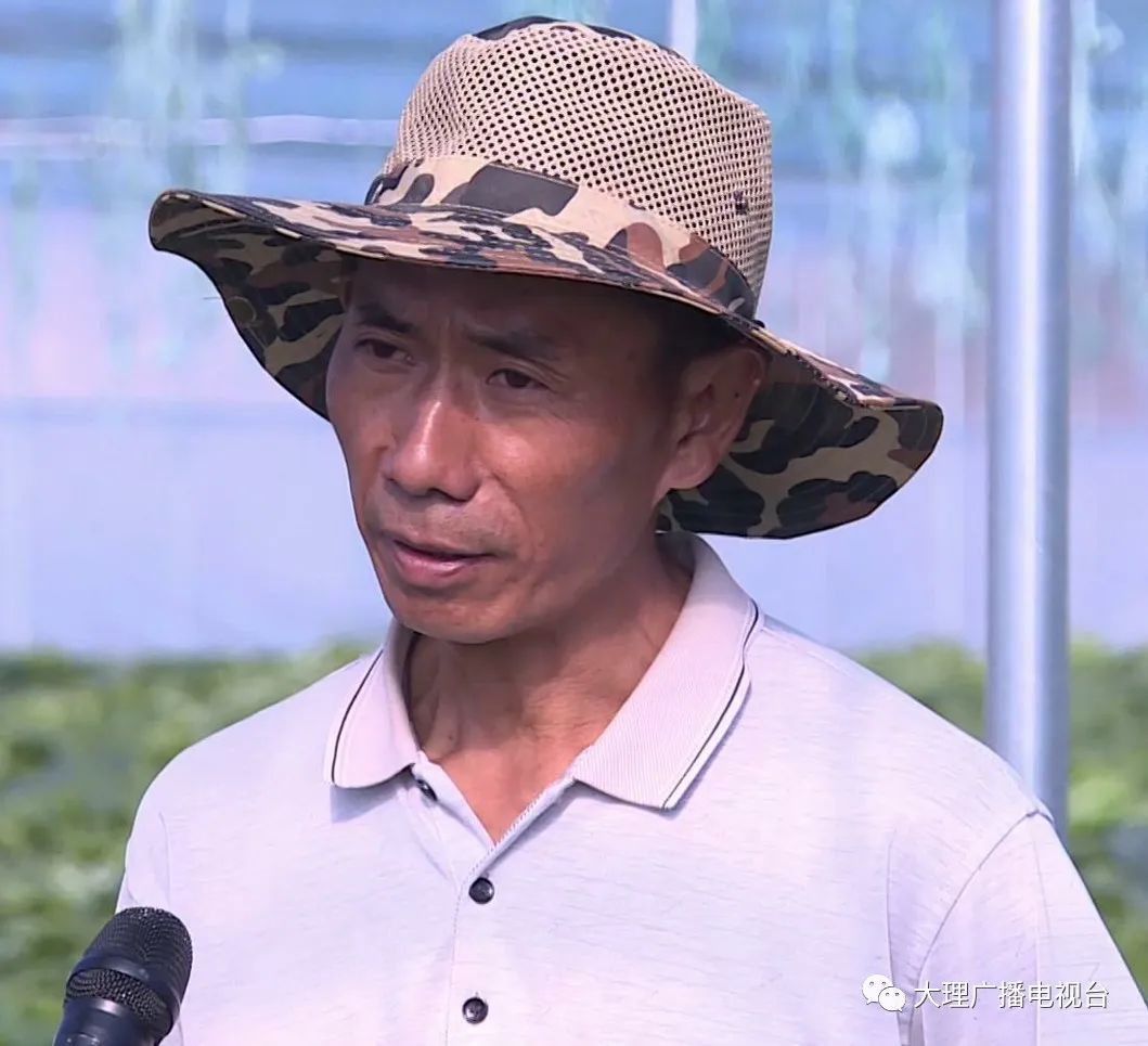 大理电视台
