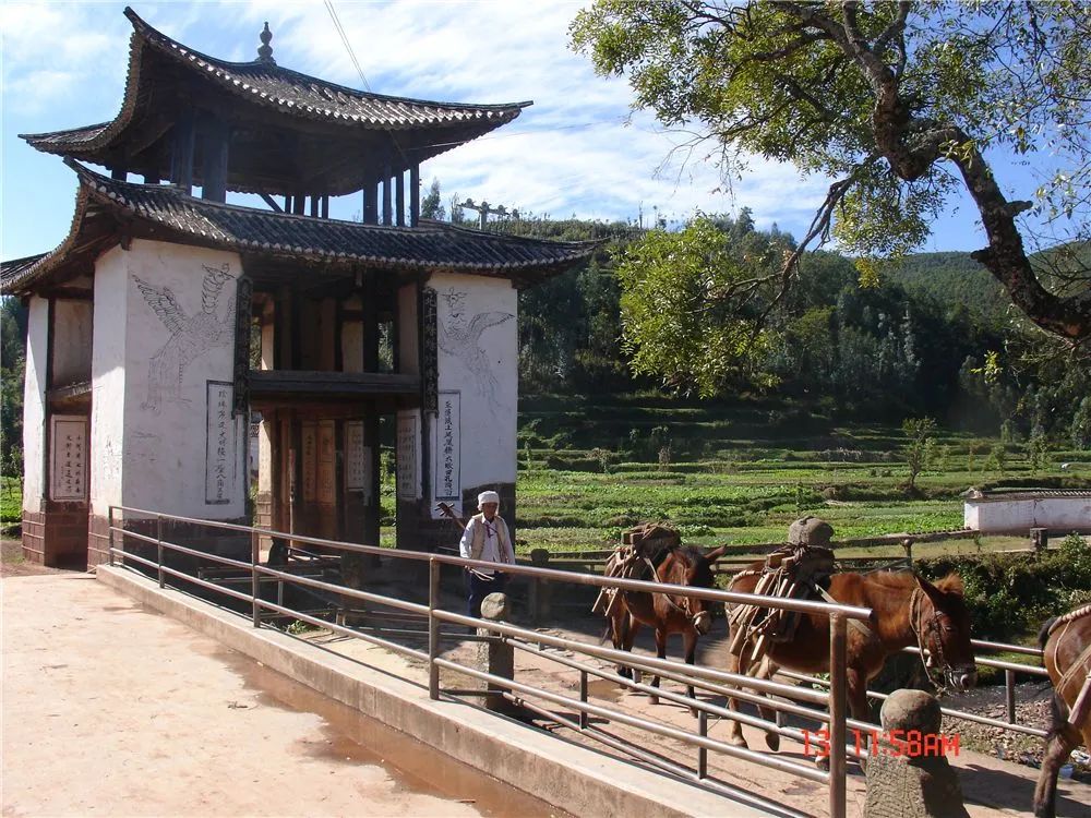 大理电视台