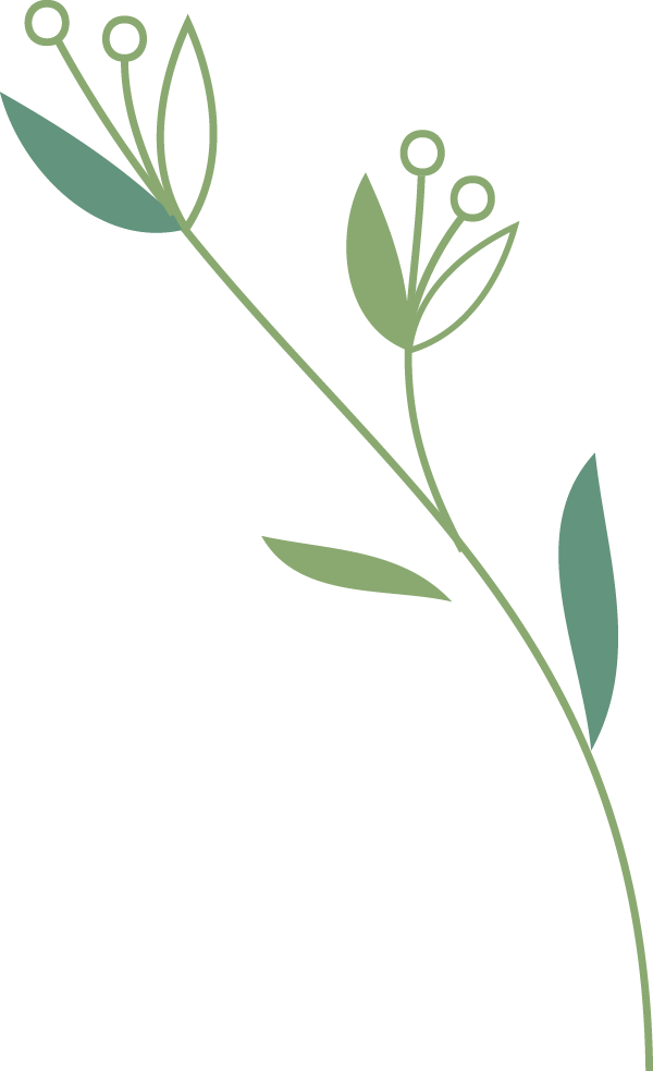 云南中医药大学第二附属医院