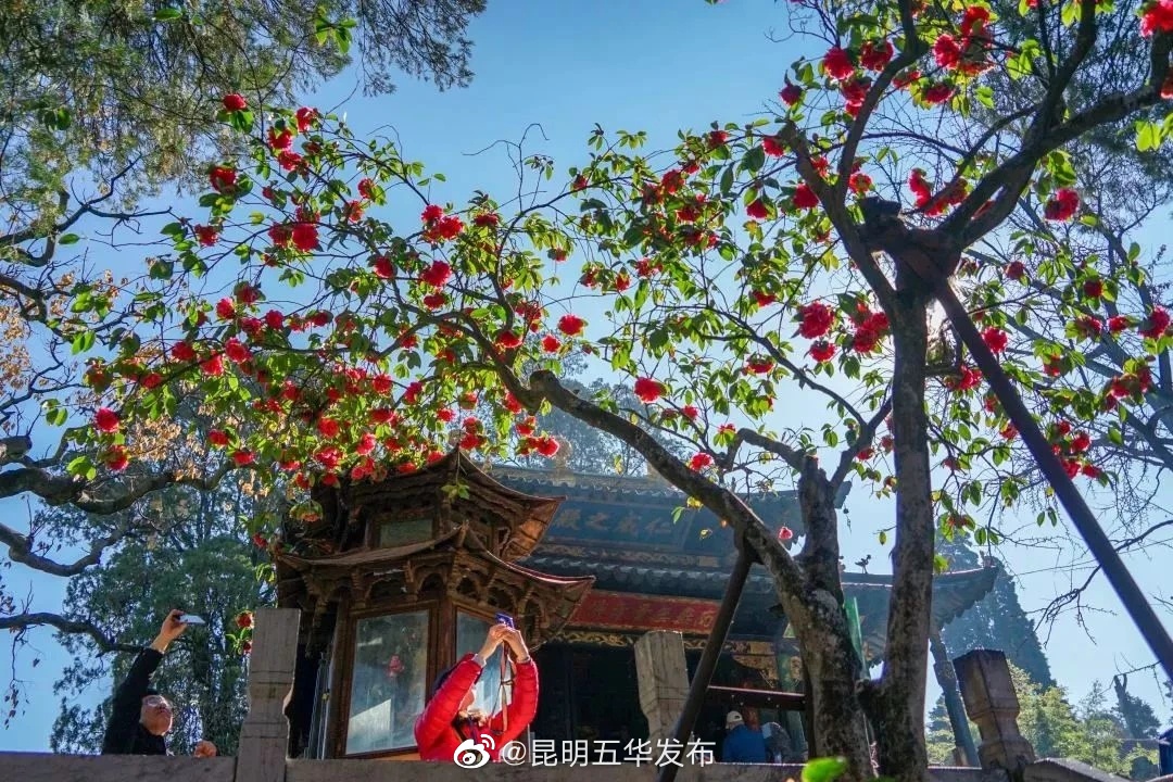 昆明五华发布