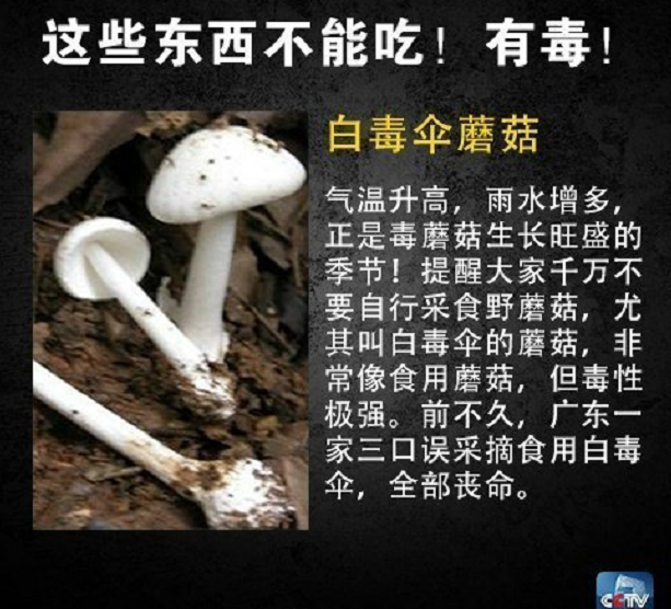 美丽云南微科普