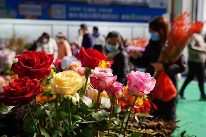 昆明市农业农村局