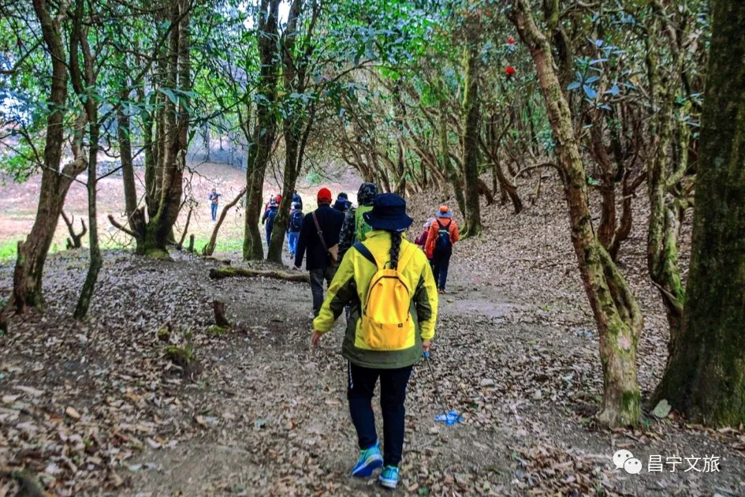 保山广播电视台